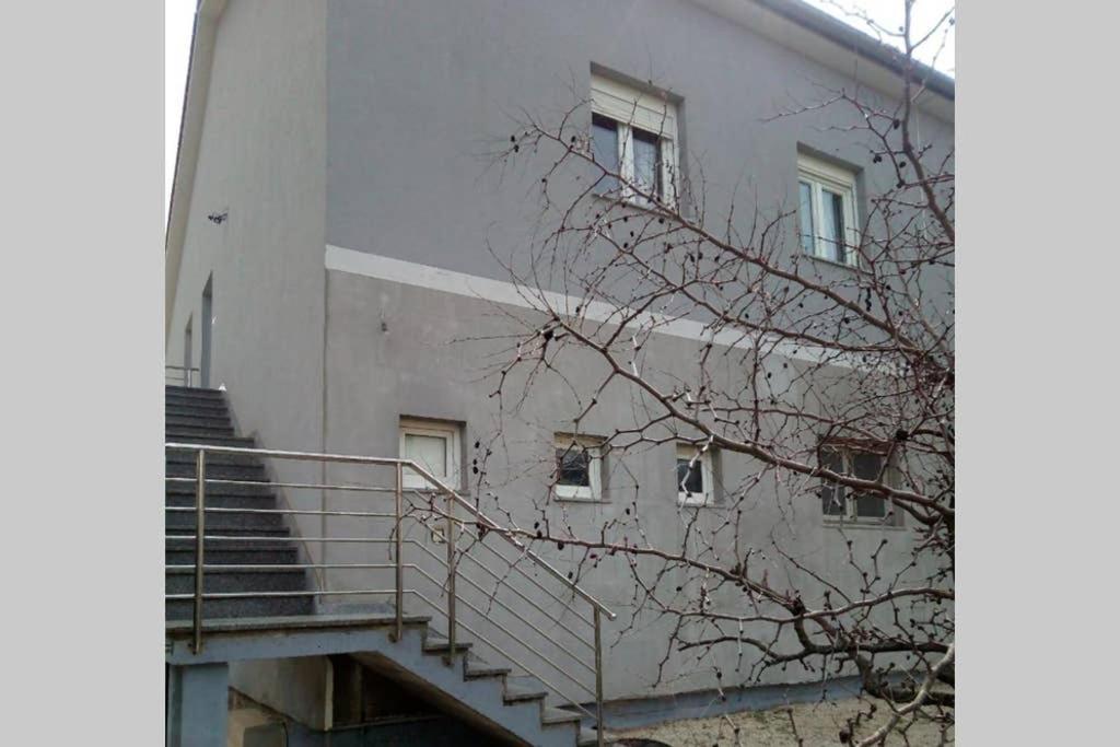 Apartman Near Fazana-500 From The Sea Fažana Exterior foto